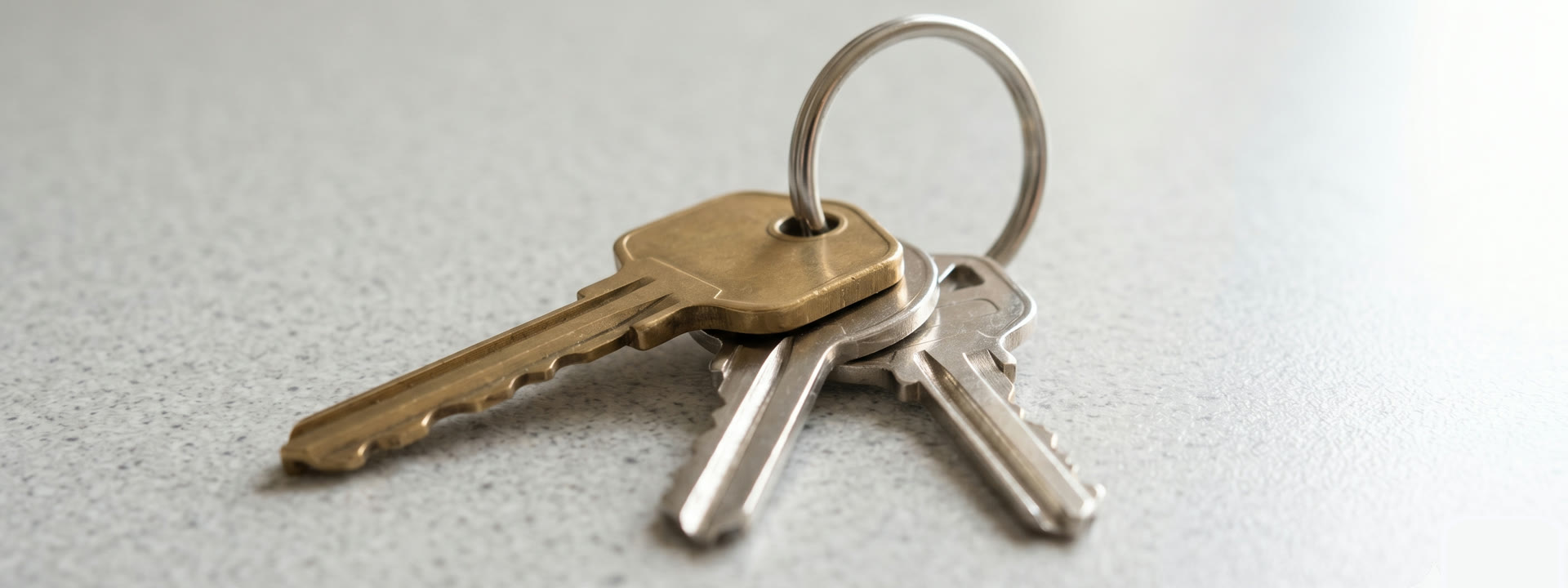 Car keys ready for a vehicle owner